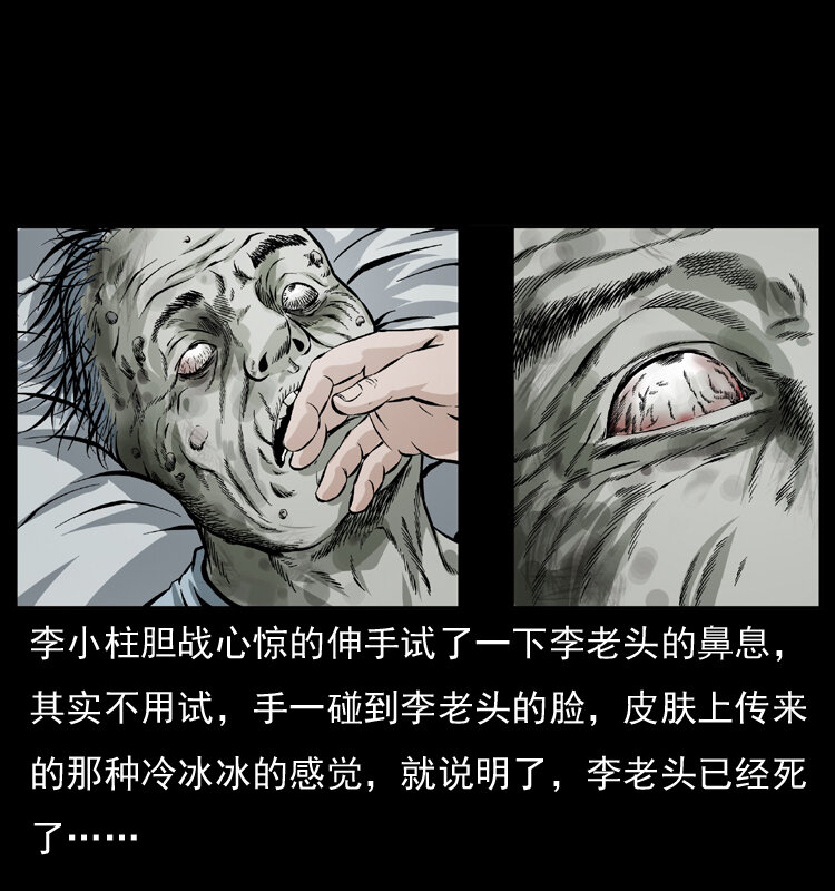 041 雷击尸235
