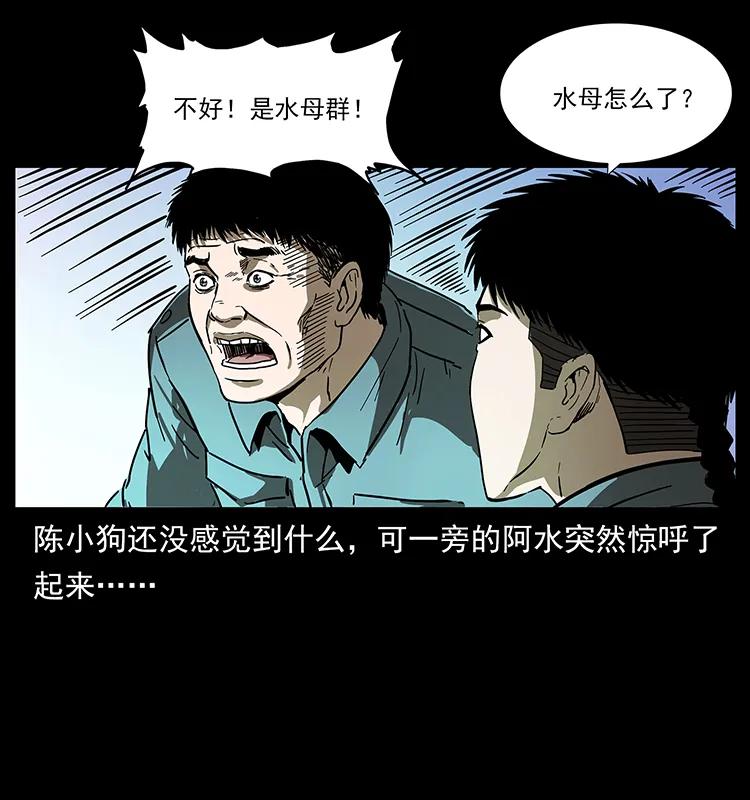 240 意外频发的诱捕15