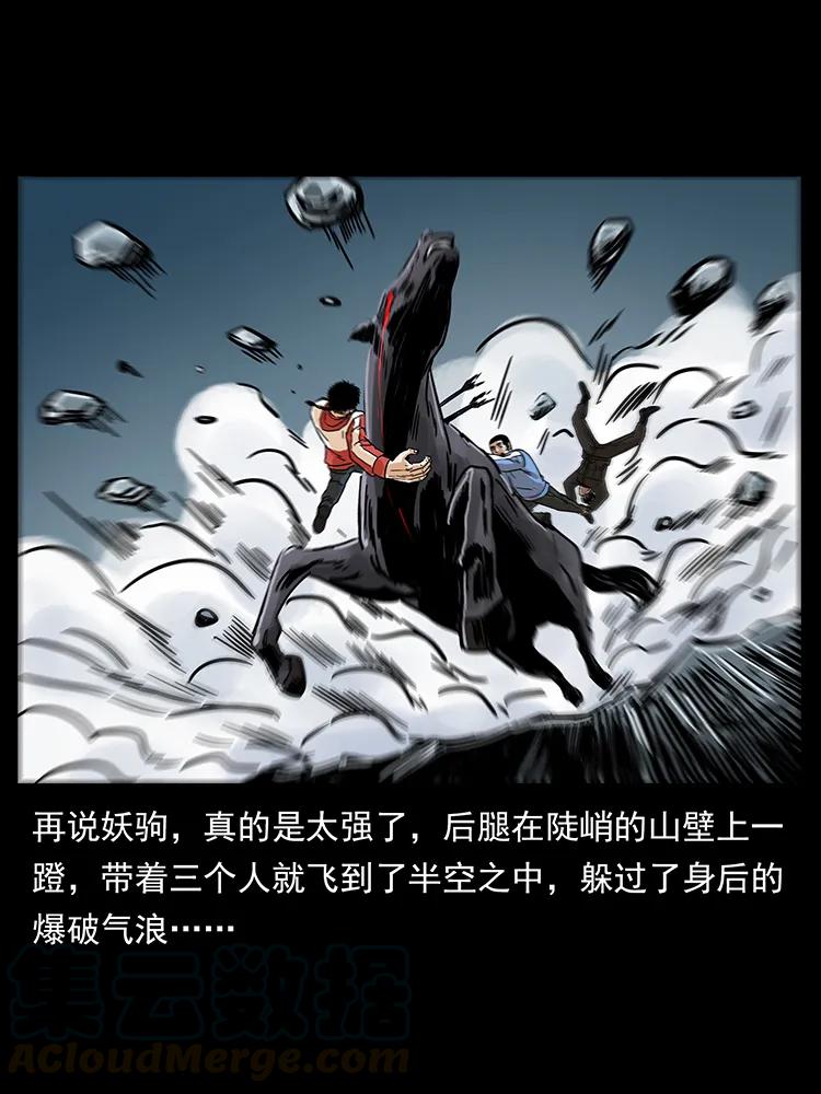 220 漠北白狼王56