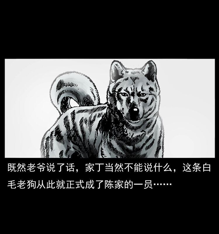 048 刨尸狗传奇124