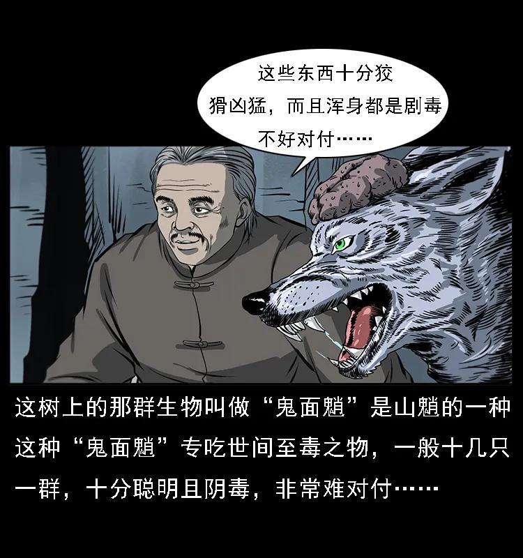 082 鬼桃树31