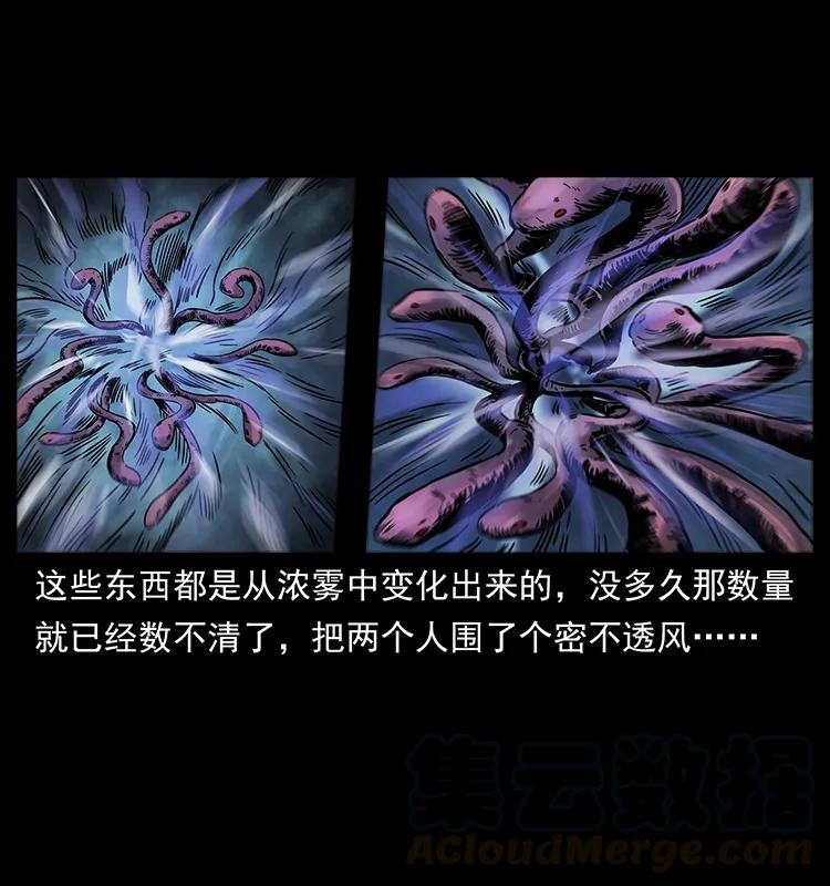 242 陈小狗失算了20