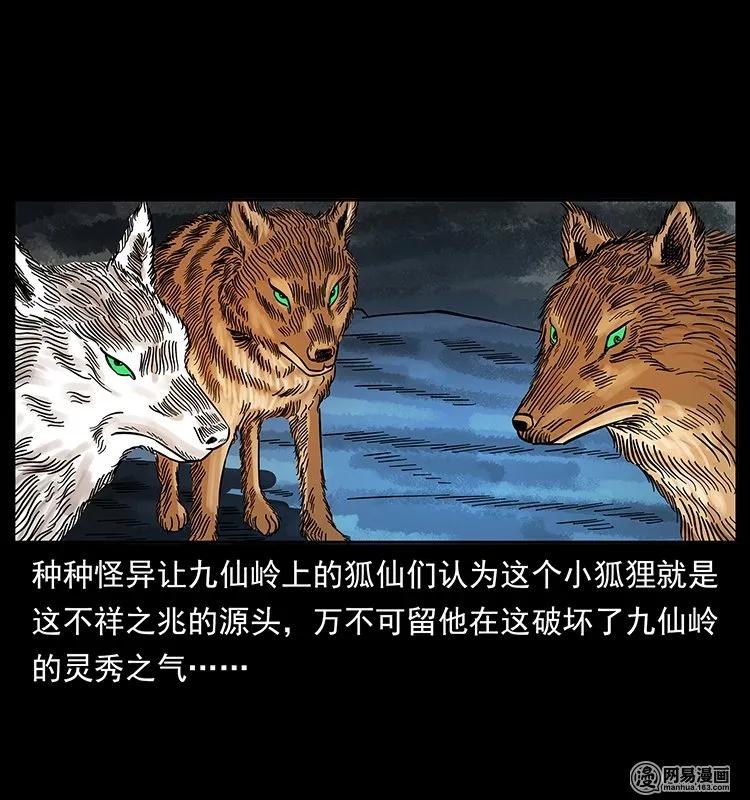 142 黑狐19