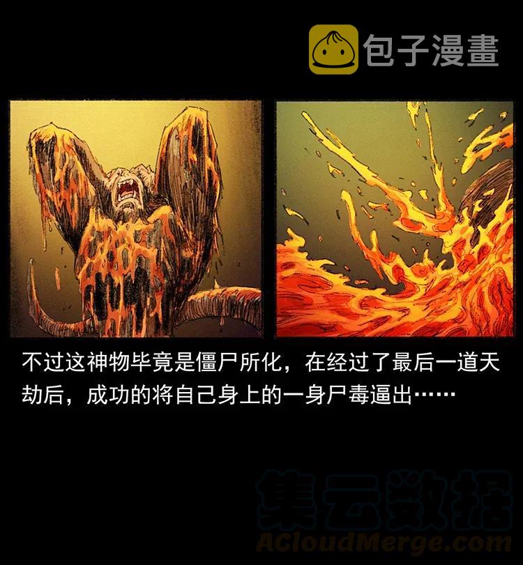 368 上古尸毒63