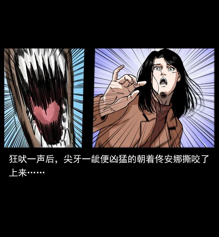 258 身后的危机37