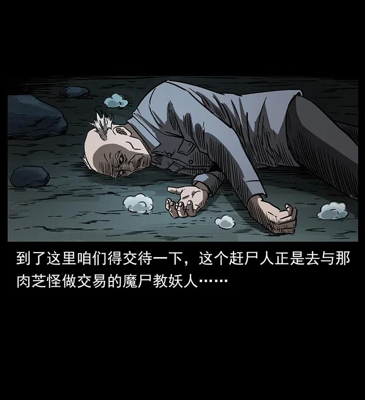 335 出山81