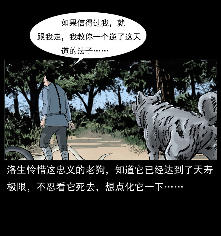049 刨尸狗传奇257