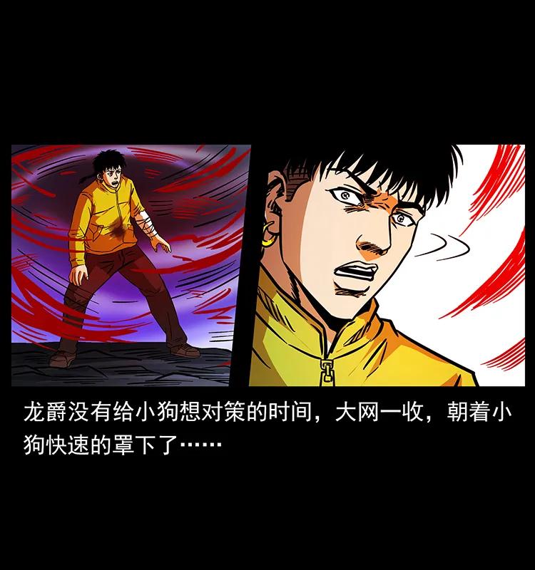 188 龙爵的实力69