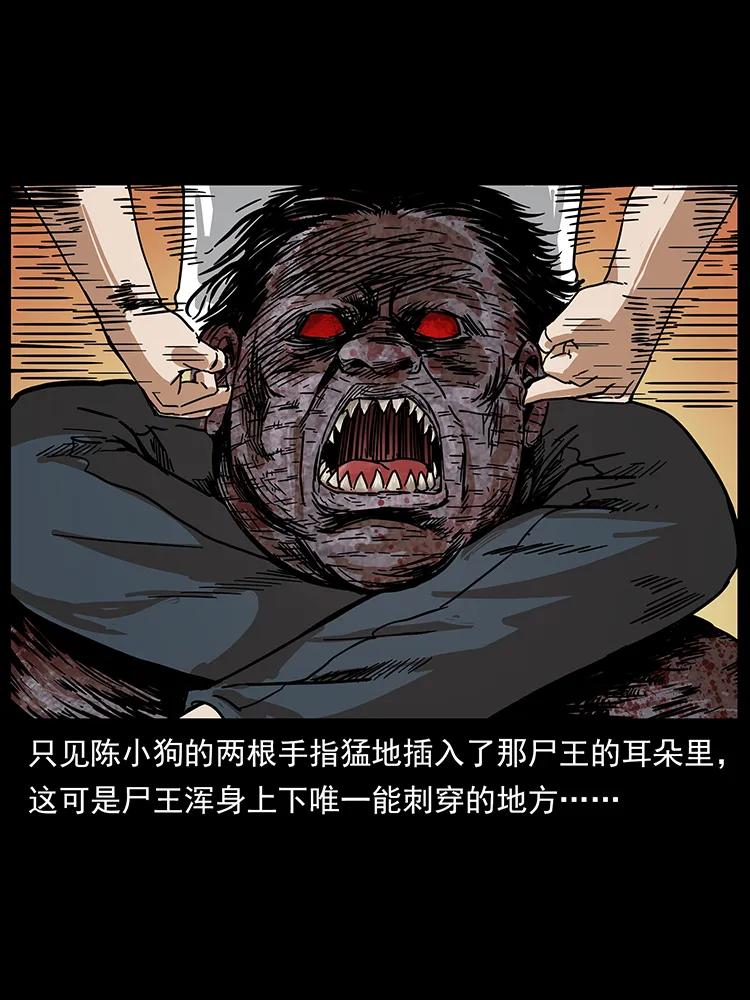 208 哪来的尸王78