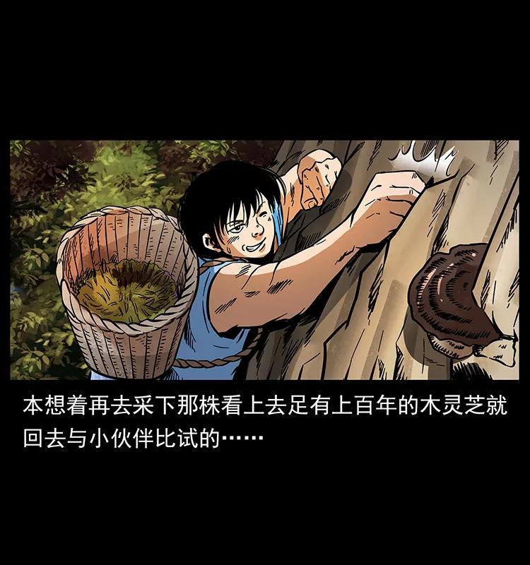169 龙洞15
