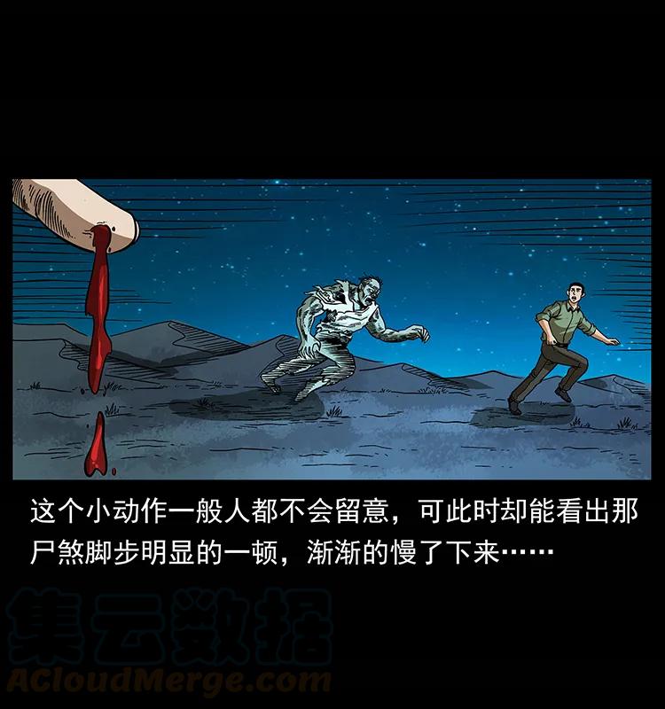 158 妖驹的选择68