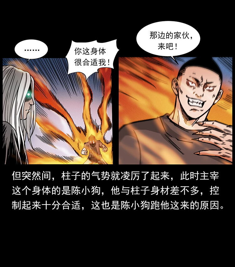 486 人与狐9