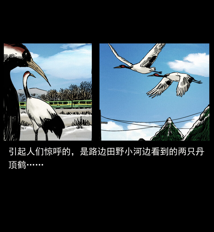 461 极地恶灵77