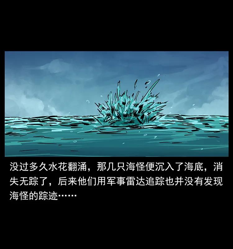 229 东海龙骨79