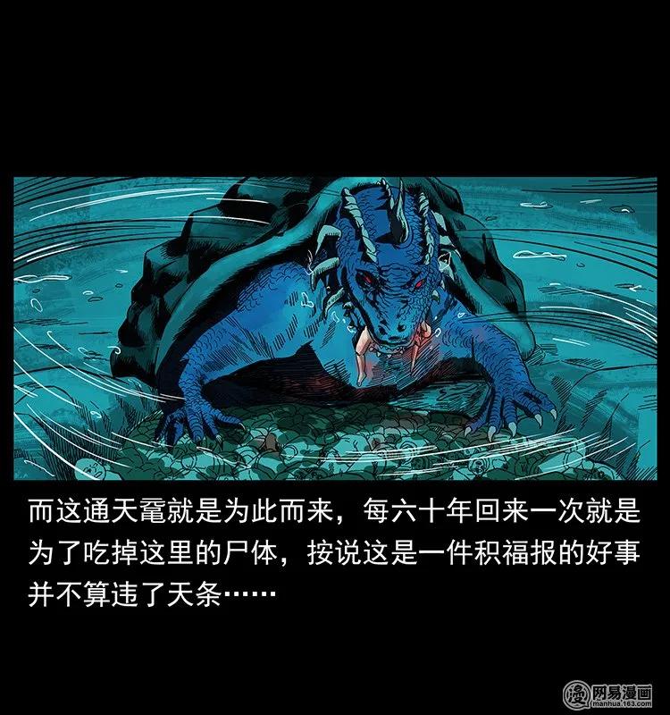 129 通天鼋58