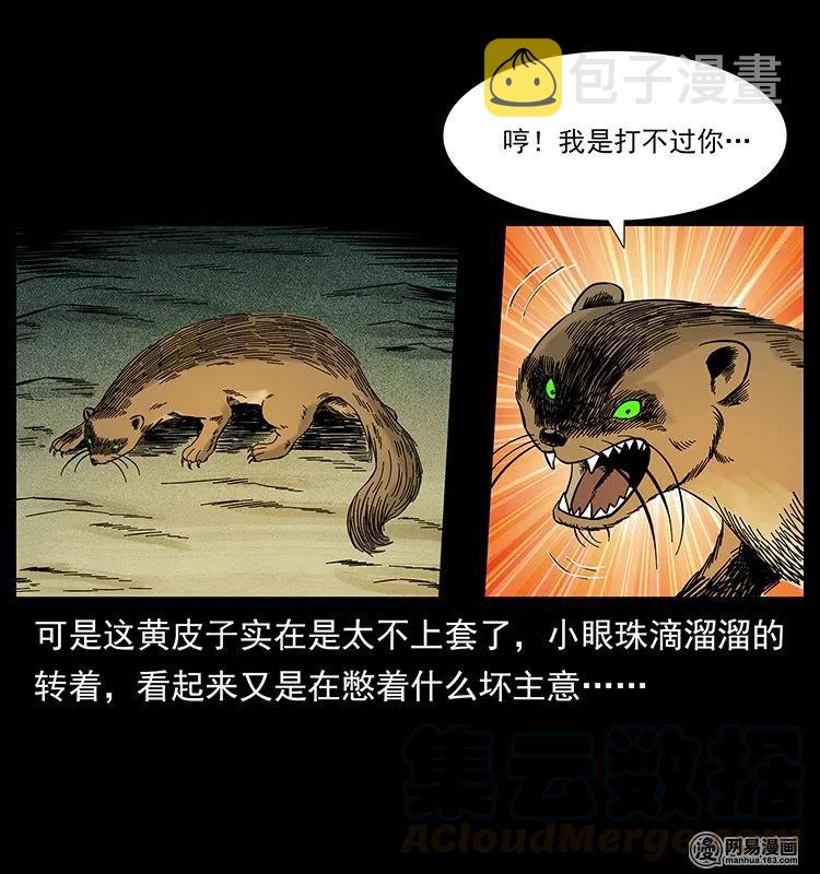 141 进山56