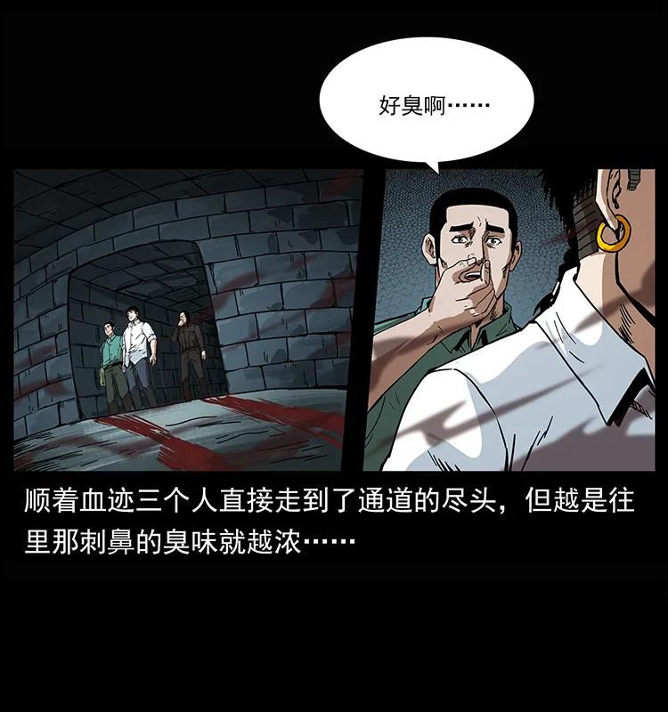208 哪来的尸王21