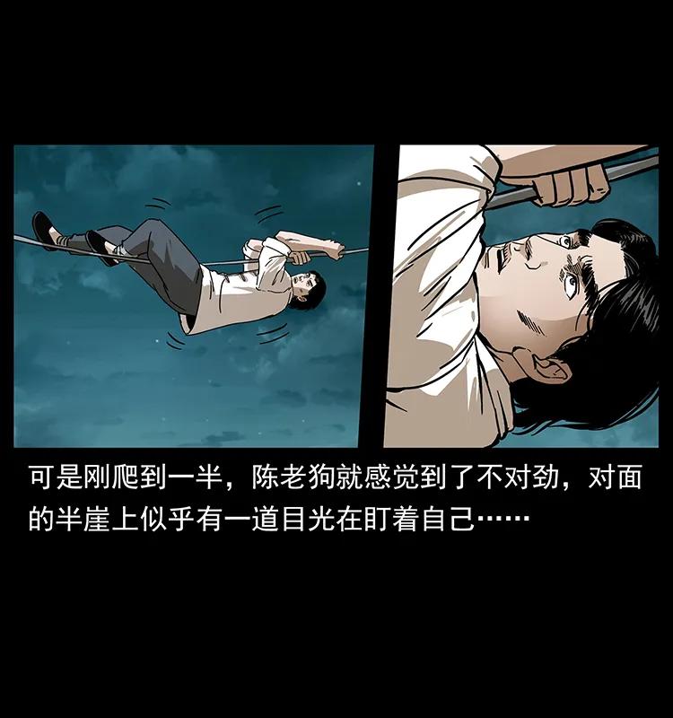 231 东海木龙35