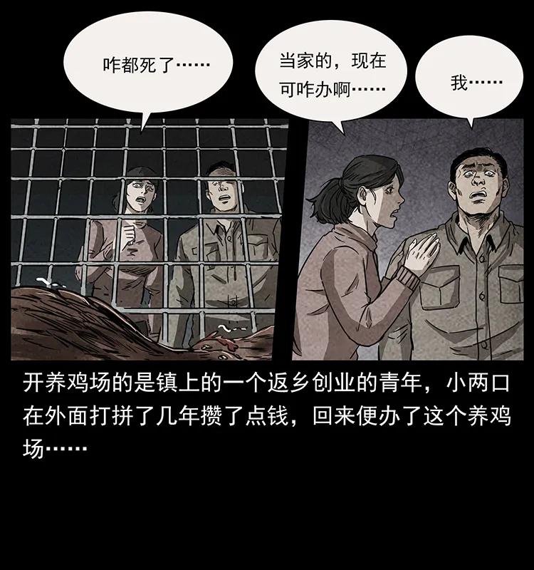 251 刨尸狗遇险29
