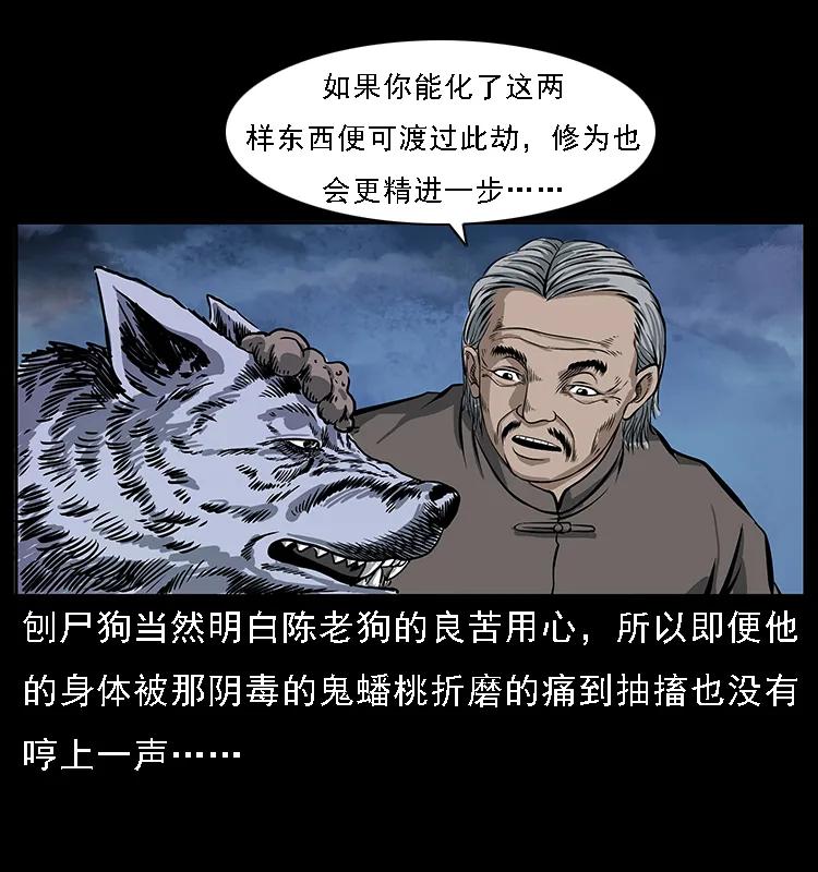 084 刨尸狗的妖化之路30
