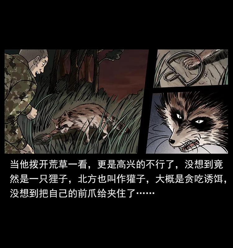 250 走失15