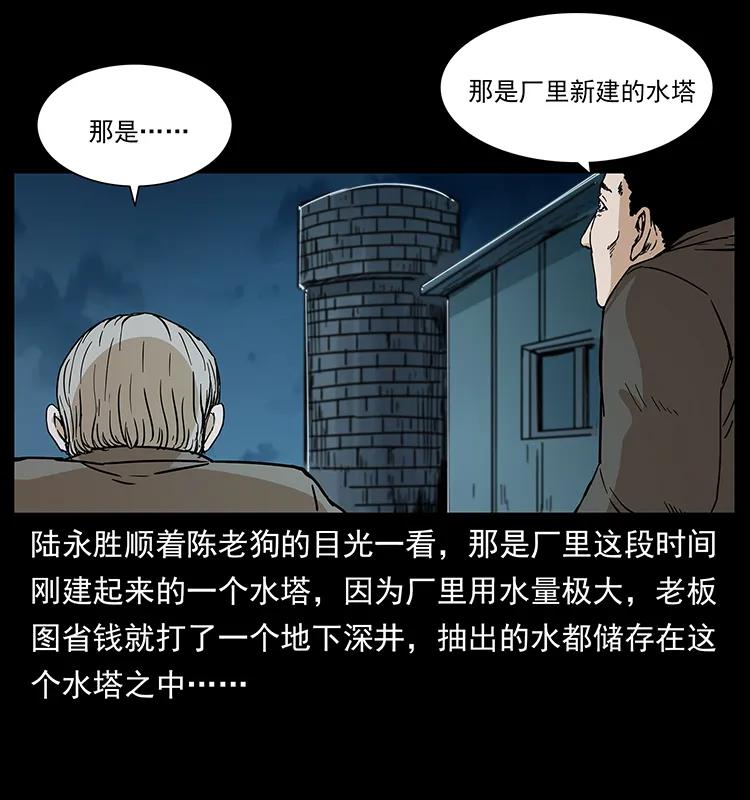 230 生桩51