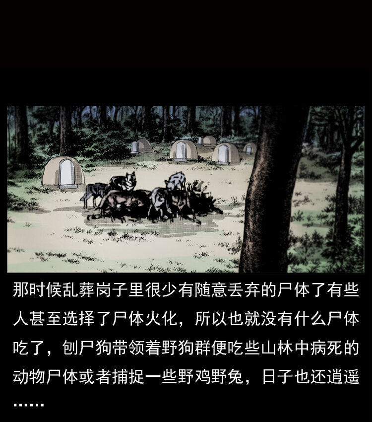 050 刨尸狗传奇33