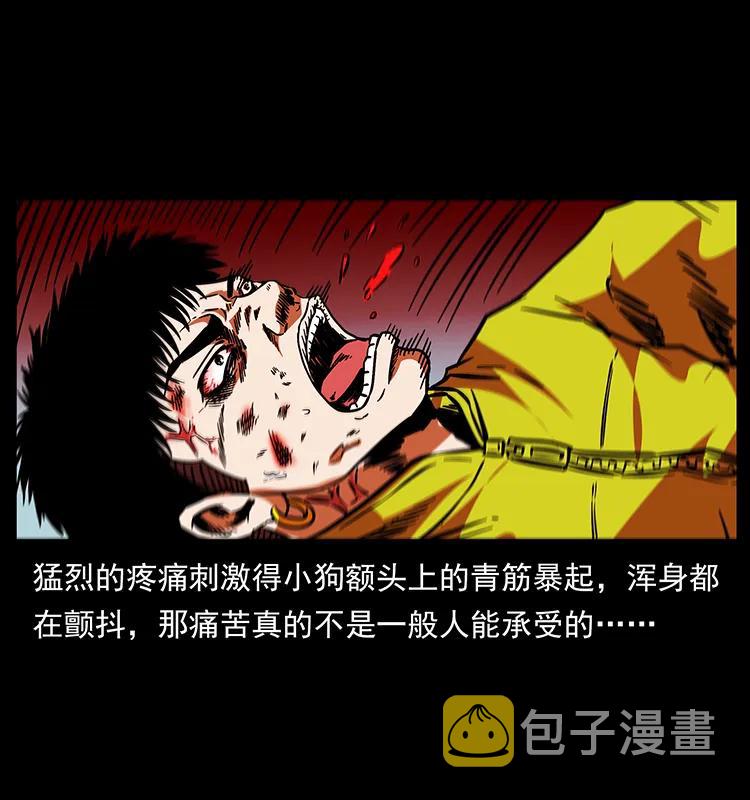 189 龙家的实力5