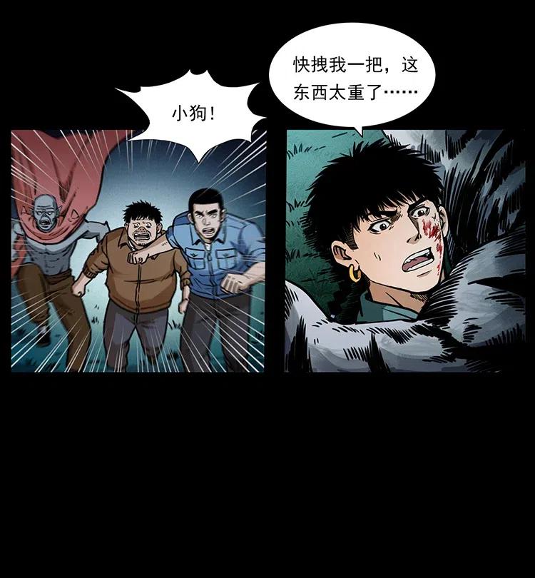 342 白毛僵尸50