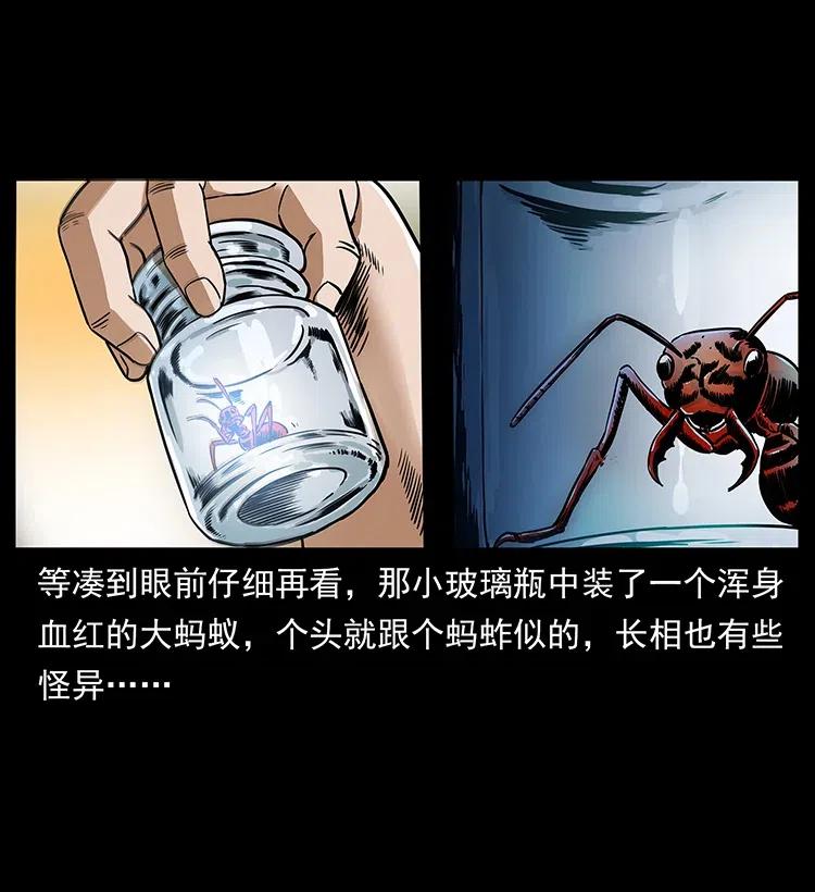 317 大漠凶兽3