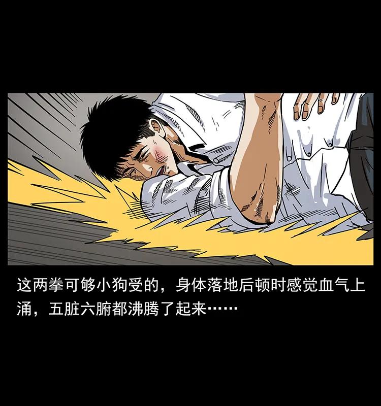 206 不断成长的陈小狗31