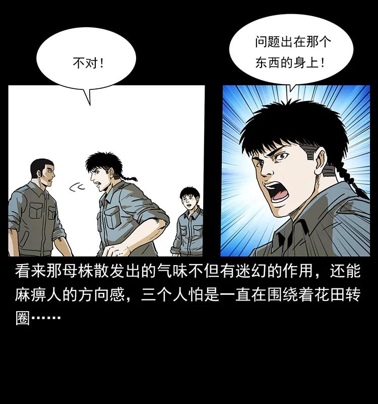 236 神秘的小岛62