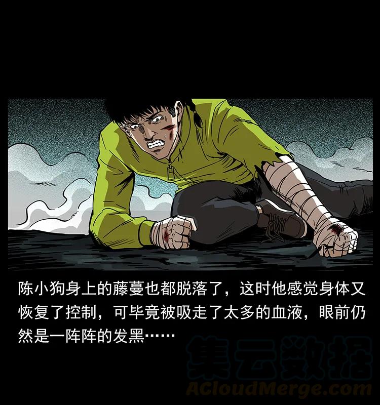 193 草蛊婆16