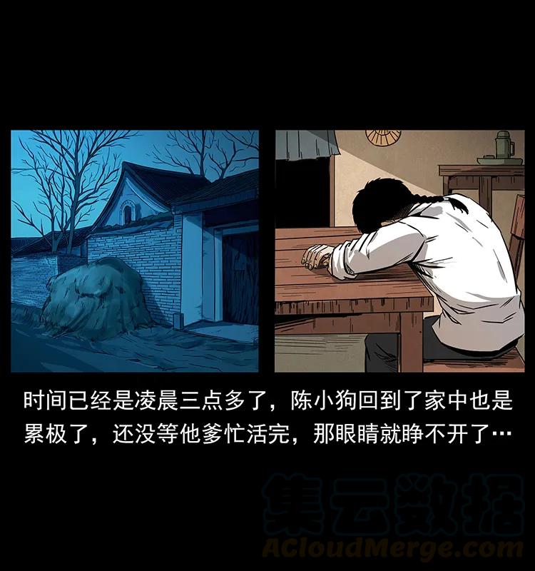 206 不断成长的陈小狗52