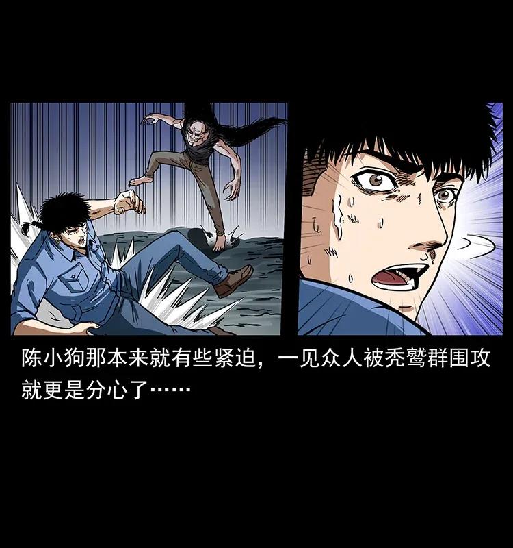 281 柱子归来！9