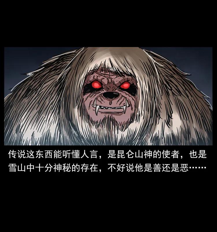 268 昆仑精灵17