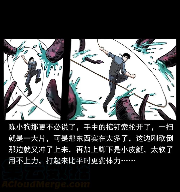 242 陈小狗失算了28