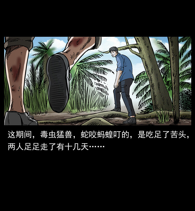 419 马先生的博物馆75