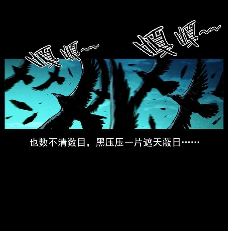 370 乌翅凤凰46