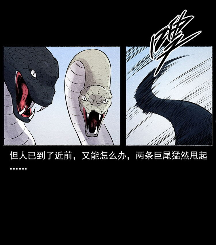 外传 洛生传5 引蛇出洞75