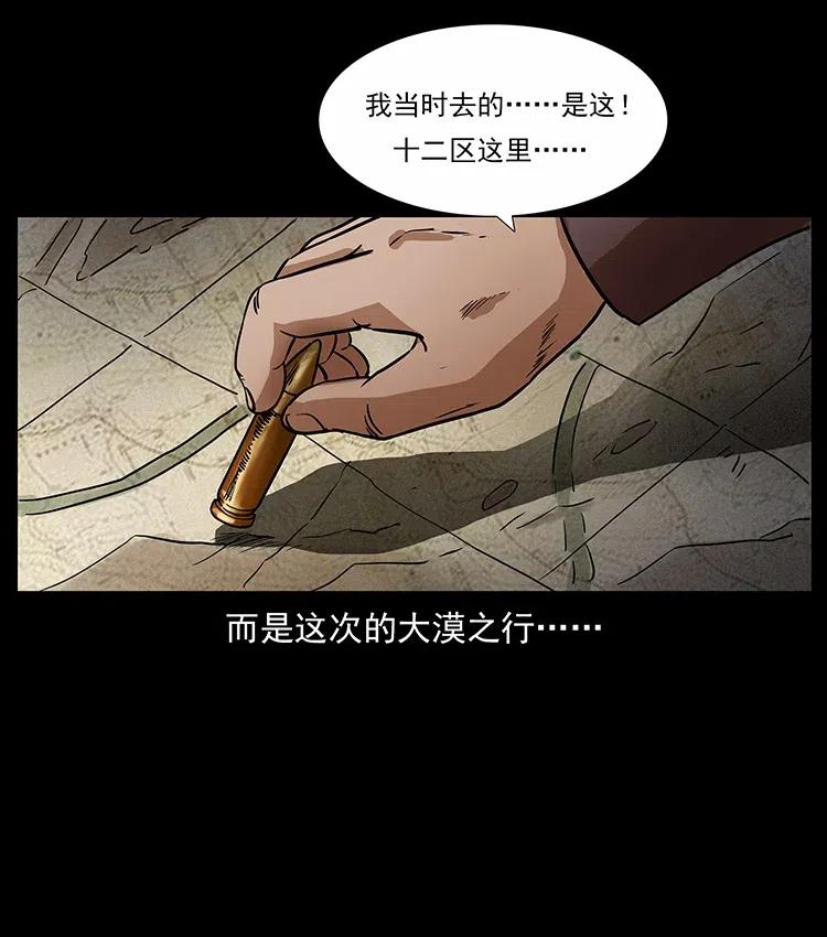 316 大漠归客85