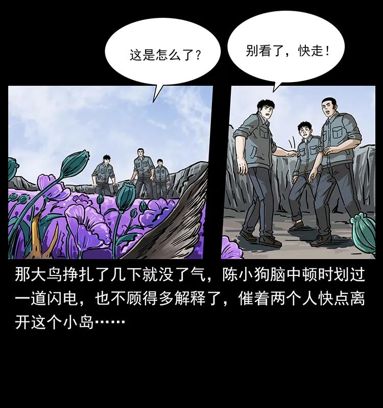236 神秘的小岛51