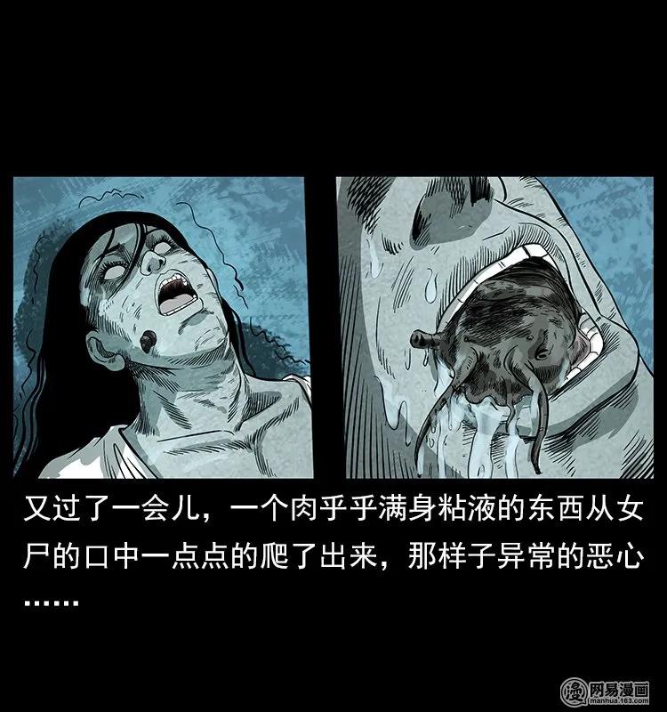 121 螺蛳51