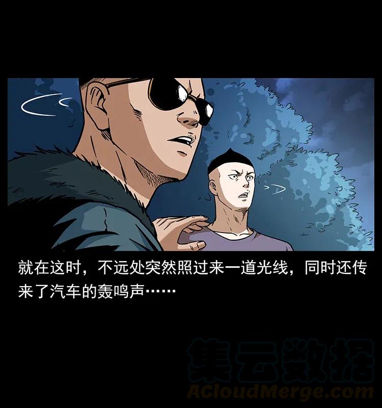 311 一窝生几个？12