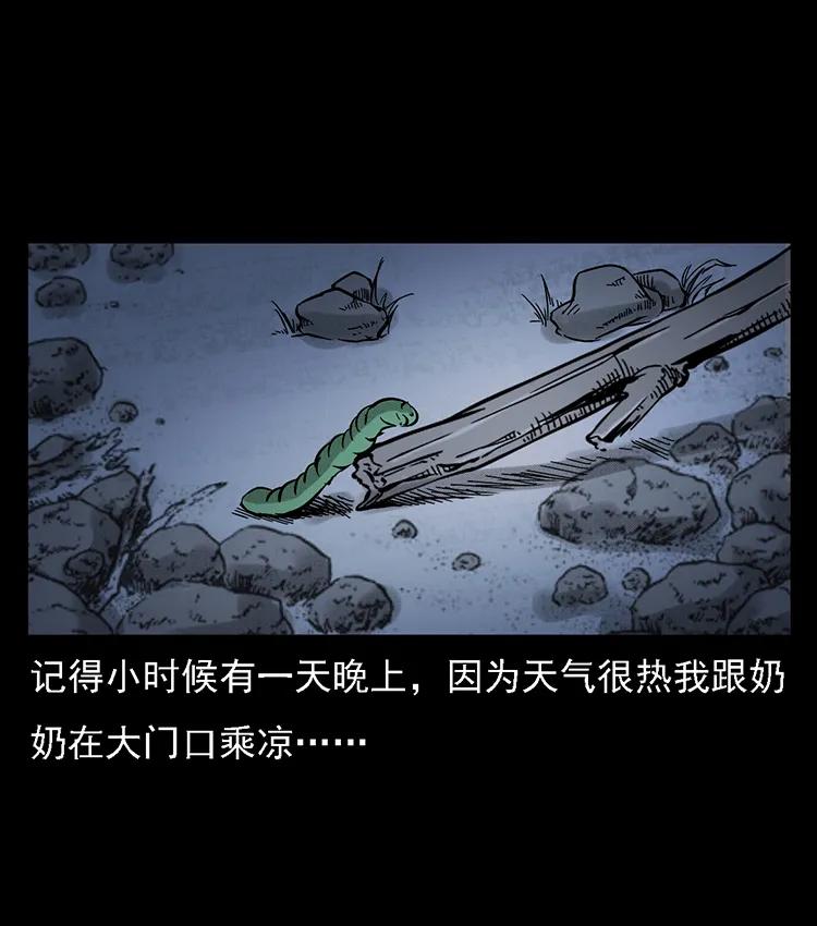 番外2 之保家白仙3