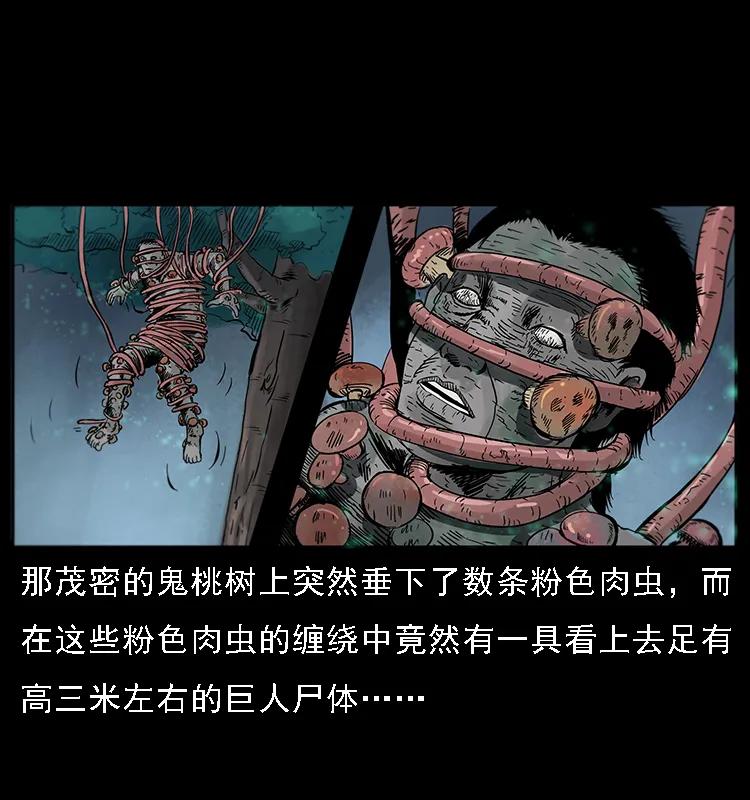 082 鬼桃树37