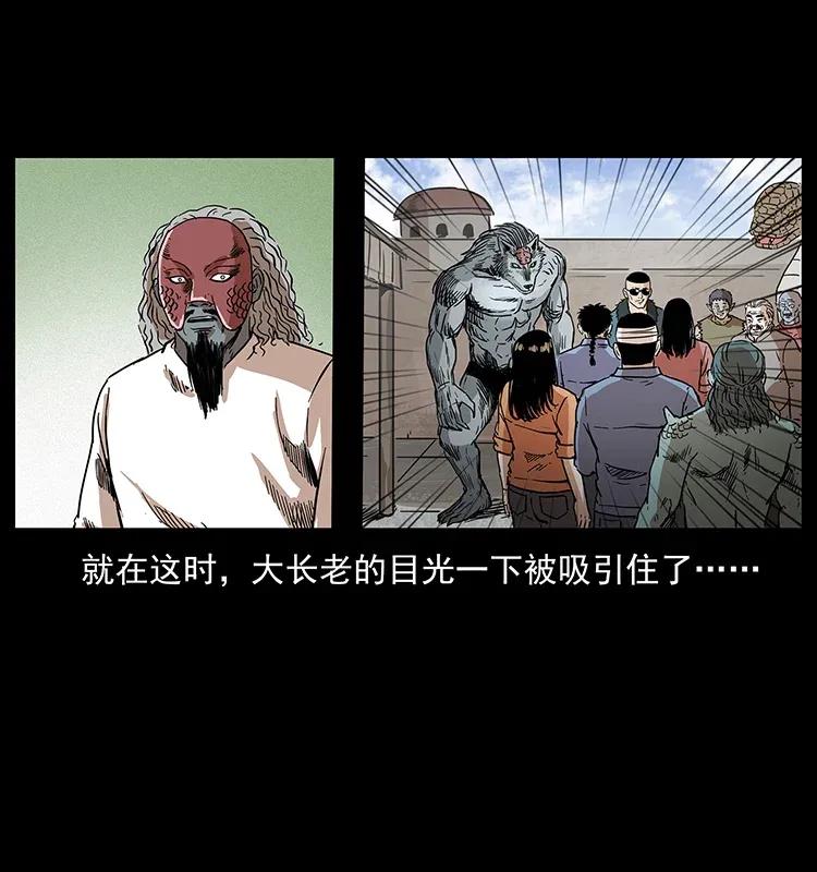 293 赤龙回归47
