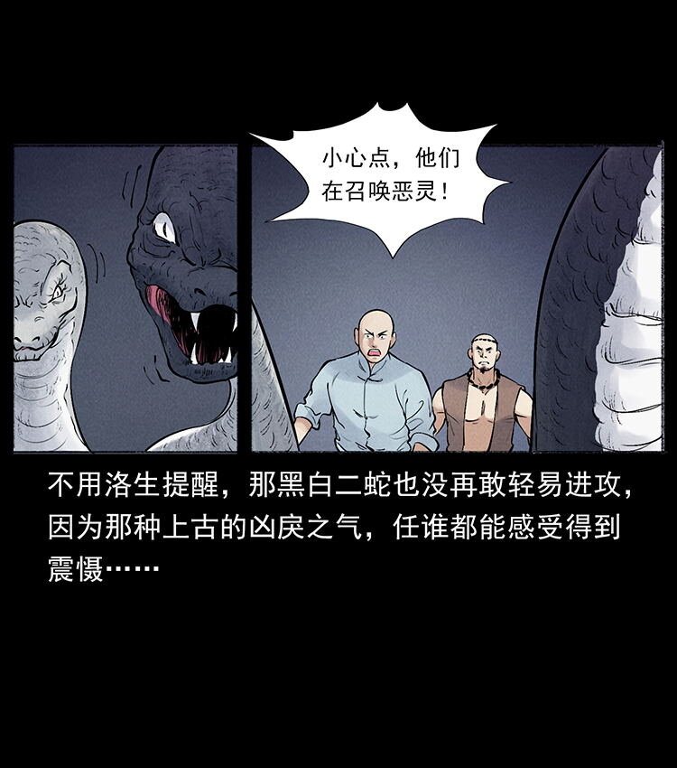 外传 洛生传7 黑白双蛇80
