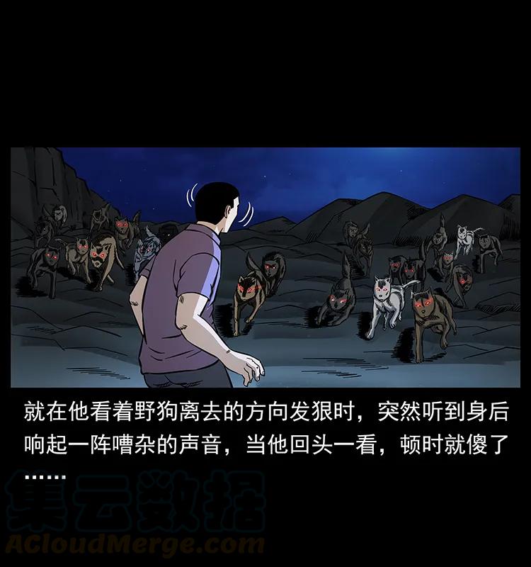 170 布局16