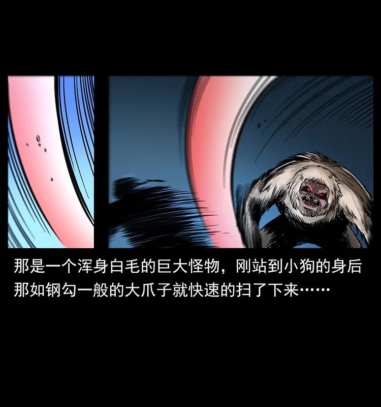 268 昆仑精灵14